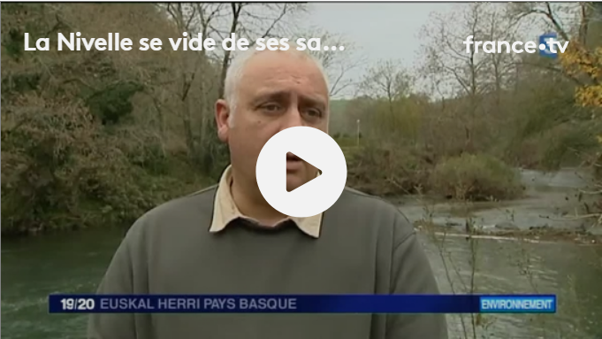 Interview d’Olivier Briard sur les remontées de saumon sur la Nivelle
