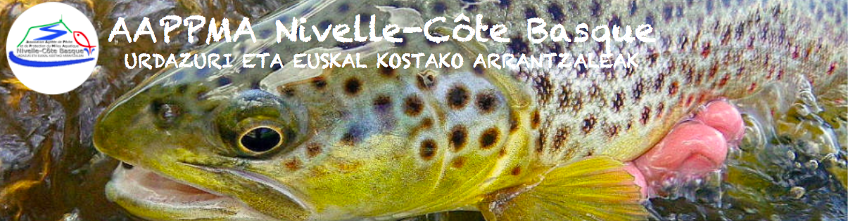 peche truite nivelle