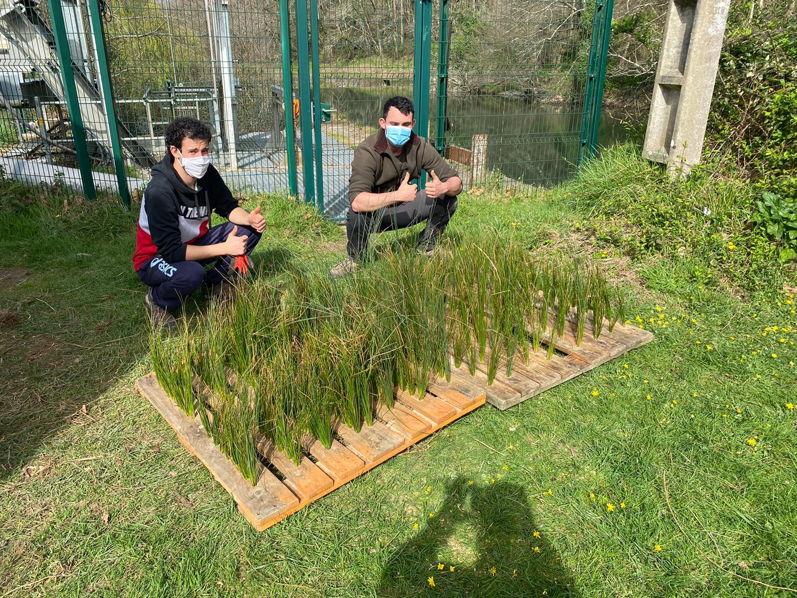 Mise en place de frayères artificielles au Lac de Saint-Pée sur Nivelle