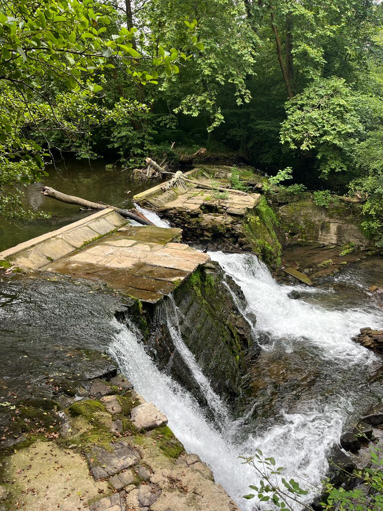 Une victoire pour les pêcheurs de la Nivelle ou 25 ans de procédure pour 3 jours de travaux